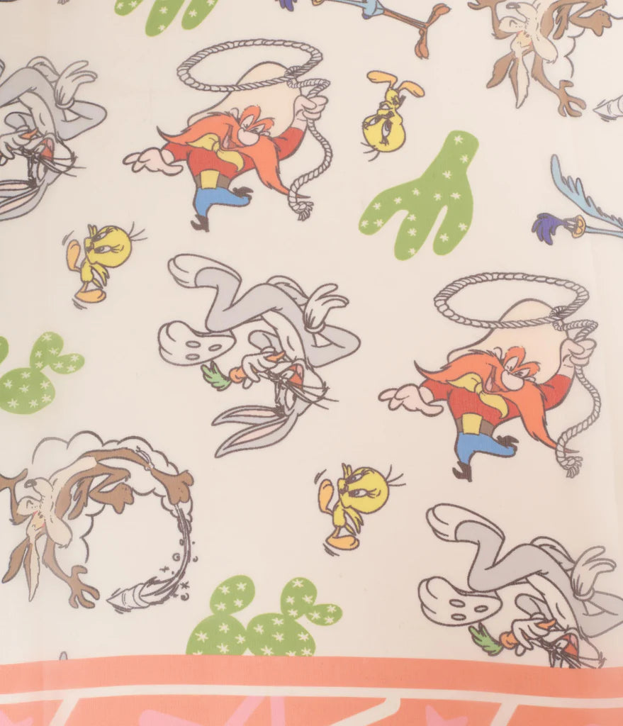 LooneyTunesScarf3