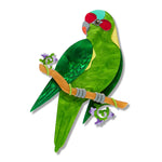 BHEM112MuskLorikeetBrooch-1